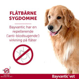Flåt- & loppemiddel hund 25-40 kg - 4x4,0 ml - Maxi Zoo Danmark