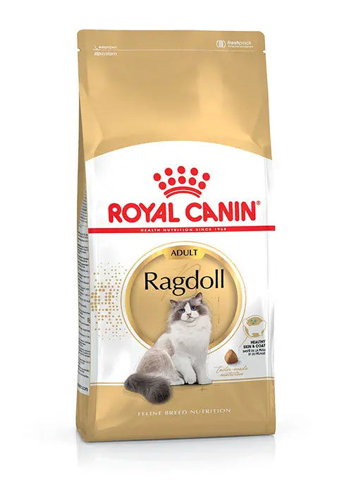 Adult Ragdoll - Maxi Zoo Danmark