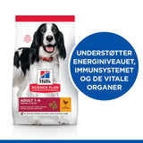 Hill's Adult Medium kylling - Maxi Zoo Danmark
