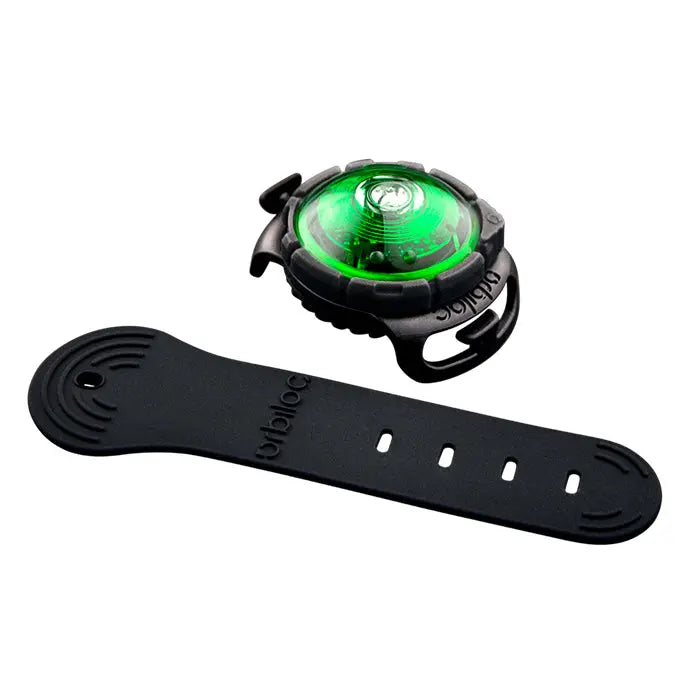 Dog Dual Lygte 48x30x24 mm grøn - Maxi Zoo Danmark