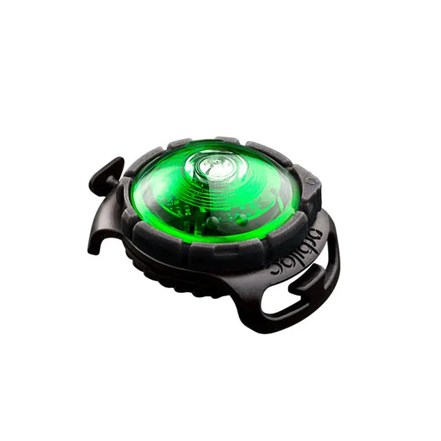 Dog Dual Lygte 48x30x24 mm grøn - Maxi Zoo Danmark