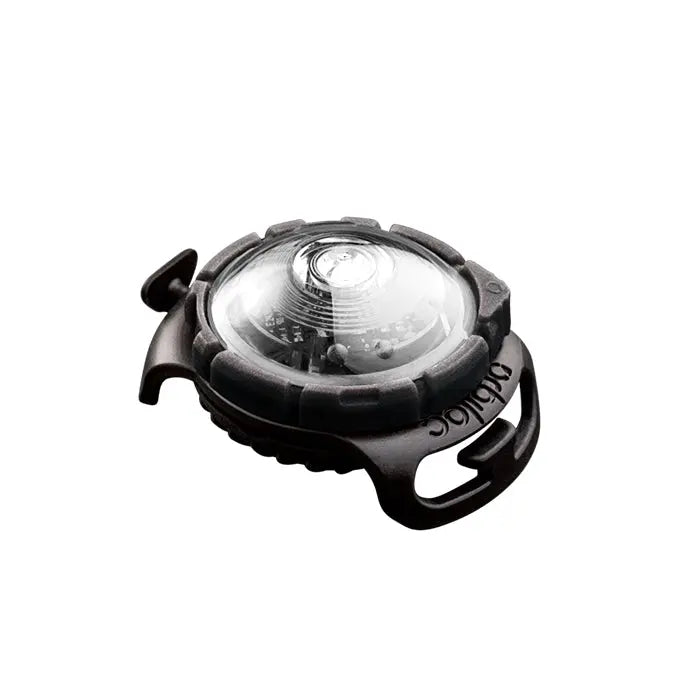 Dog Dual Lygte 48x30x24 mm hvid - Maxi Zoo Danmark
