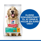Adult Perfect Weight Large kylling 12 kg - Maxi Zoo Danmark