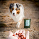 Træningsgodbidder 500 g - Maxi Zoo Danmark