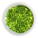 Vesicularia ferriei "Weeping Moss" Nr. 81-2-Grow - Maxi Zoo Danmark