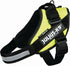 Julius K9 Power-Sele M 58-76cm Gul - Maxi Zoo Danmark