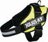Julius K9 Power-Sele XL 71-96cm Gul - Maxi Zoo Danmark