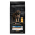 Adult Large Robust Everyday Nutrition kylling 14 kg - Maxi Zoo Danmark