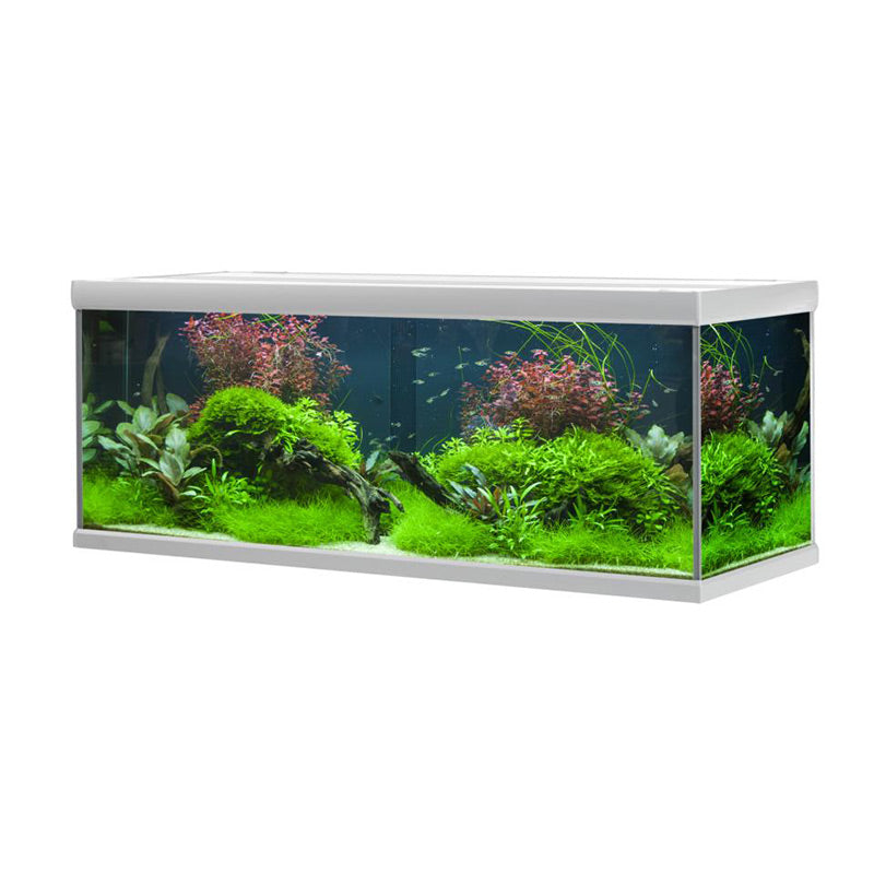 Akvarium Fusion 576 l, 160x60x60 cm alu - Maxi Zoo Danmark