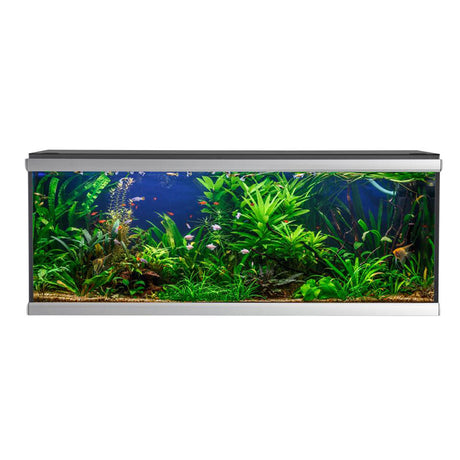 Akvarium Move 576 l, 160x60x64 cm sort - Maxi Zoo Danmark