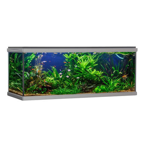 Akvarium Move 576 l, 160x60x64 cm sort - Maxi Zoo Danmark