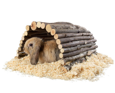 Pindebro 13 x 21 cm - Maxi Zoo Danmark