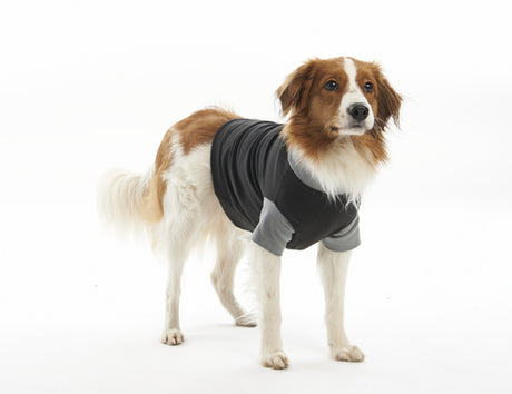 Body Suit EasyGO S 41 cm sort/grå - Maxi Zoo Danmark