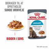 Adult Gravy, menuboks pouch Urinary 12x85 g