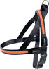 LED sele XL 3,8 x 80-100 cm orange