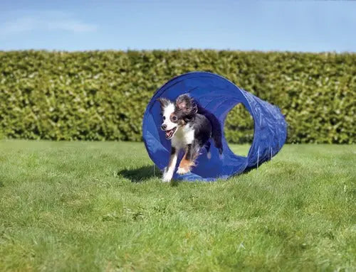 Agility tunnel 250x60 cm blå - Maxi Zoo Danmark