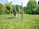 Agility slalom pinde 12 stk blå/gul - Maxi Zoo Danmark