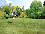 Agility-ring ca. 75x117 cm blå/gul - Maxi Zoo Danmark