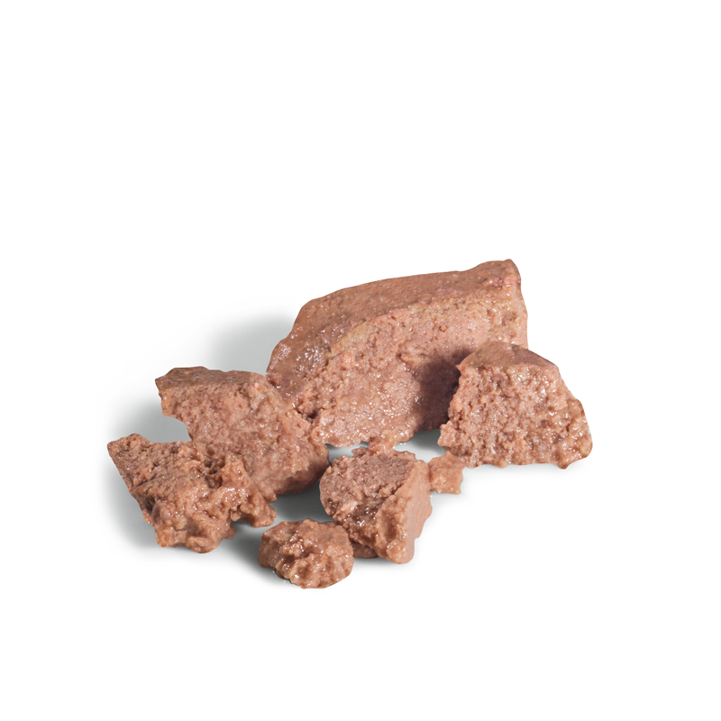 Adult, menuboks pouchYorkshire Terrier 12x85 g