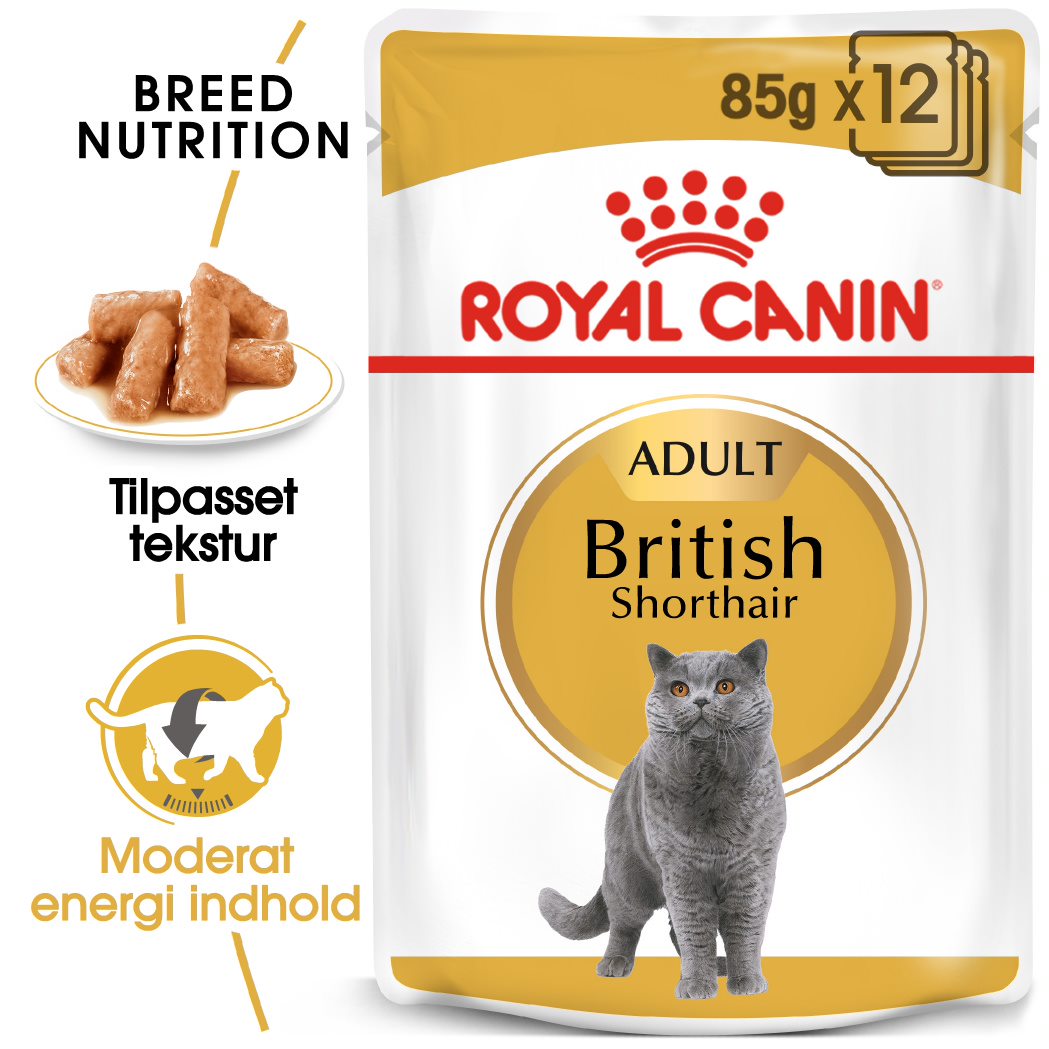Adult Paté, menuboks pouch British Shorthair 12x85 g - Maxi Zoo Danmark