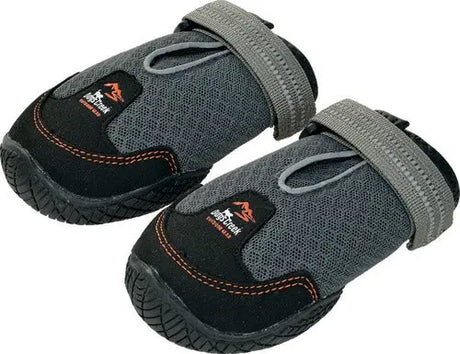 Hundesko Hiker M 2 stk sort - Maxi Zoo Danmark