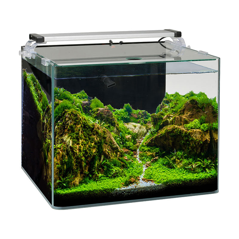 Akvarie Startersæt Nanocube26 l 35x30x28 cm - Maxi Zoo Danmark