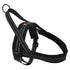 Norsk sele XL 75-90 cm, sort