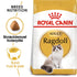 Adult Ragdoll400 g