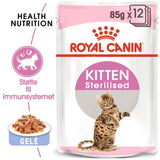 Kitten Jelly menuboks pouch sterilised 12 x 85 g - Maxi Zoo Danmark