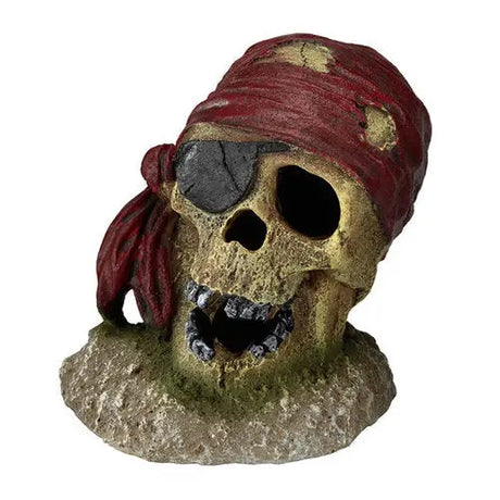 Piratkranie m/klap 7x7x8 cm sand/rød - Maxi Zoo Danmark