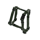 Nylon H-sele Classic Grøn - Maxi Zoo Danmark