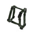 Nylon H-sele Classic Grøn - Maxi Zoo Danmark