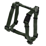 Nylon H-sele Classic Grøn - Maxi Zoo Danmark