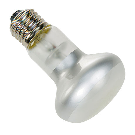Spotlampe 50 w - Maxi Zoo Danmark