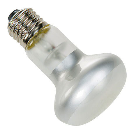Spotlampe 75 w - Maxi Zoo Danmark