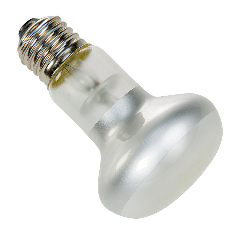 Spotlampe 25 w - Maxi Zoo Danmark