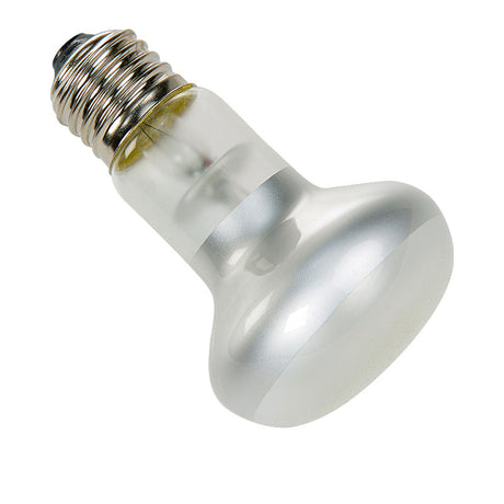 Spotlampe 150 w - Maxi Zoo Danmark