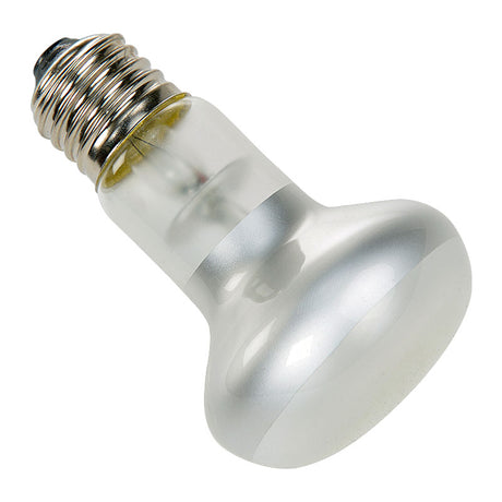 Spotlampe 100 w - Maxi Zoo Danmark