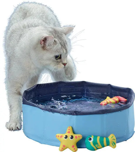 Badebassin til kat m/neopren legetøj, 30x10 cm - Maxi Zoo Danmark