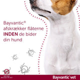 Flåt- & loppemiddel hund 40-60 kg - 4x6,0 ml - Maxi Zoo Danmark