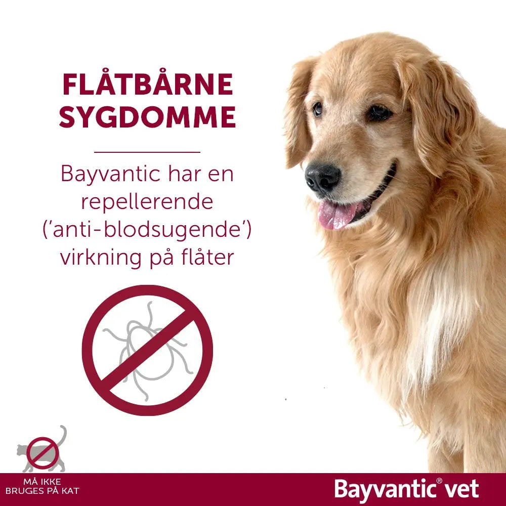 Flåt- & loppemiddel hund 40-60 kg - 4x6,0 ml - Maxi Zoo Danmark