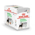 Adult Digestive Care 12x 85g - Maxi Zoo Danmark