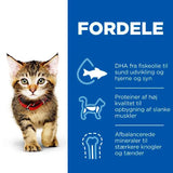 Kitten kylling 1,5 kg - Maxi Zoo Danmark