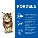 Kitten tun 1,5 kg - Maxi Zoo Danmark