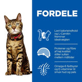 Adult Light kylling 10 kg - Maxi Zoo Danmark