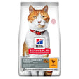 Young Adult Sterilised kylling 3 kg - Maxi Zoo Danmark