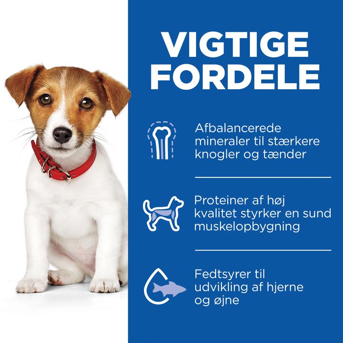 Adult Small & Minilam og ris 6 kg - Maxi Zoo Danmark