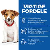 Adult Small & Minilam og ris 6 kg - Maxi Zoo Danmark