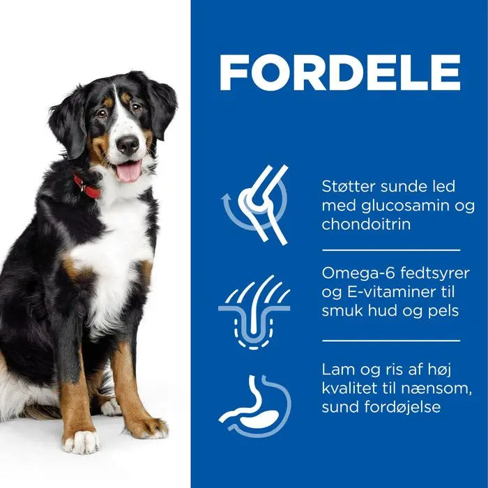 Adult Large Breed lam og ris 14 kg - Maxi Zoo Danmark