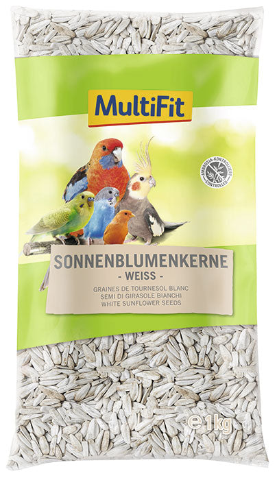 Hvide solsikkefrø 1 kg - Maxi Zoo Danmark